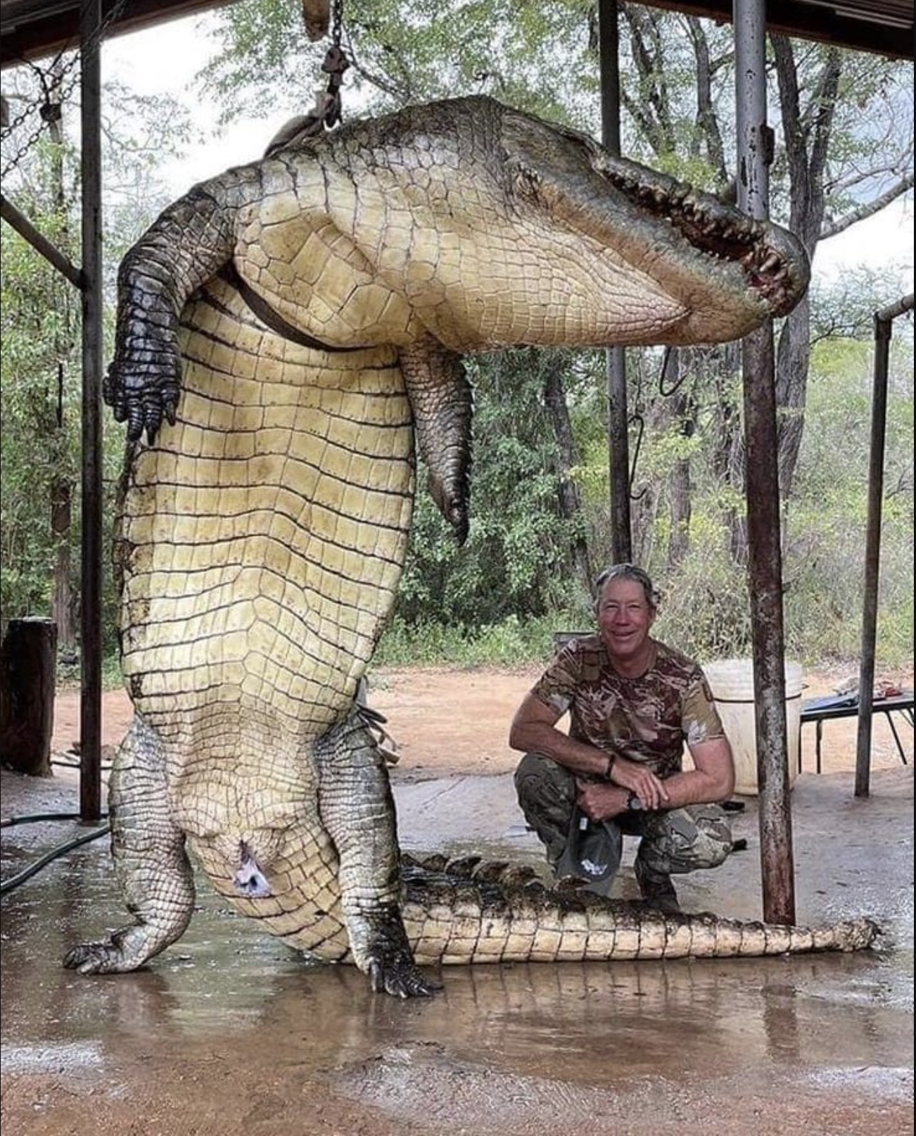 garrett wales crocodile